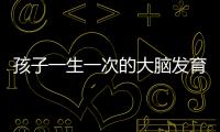 孩子一生一次的大腦發育黃金期，錯過之后可能難以彌補！不要忽視