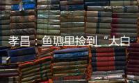 孝昌：魚塘里撿到“大白鳥”，竟然是小天鵝