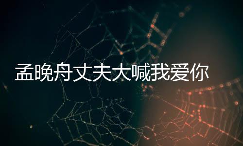 孟晚舟丈夫大喊我愛你 雙向奔赴的愛情太甜了