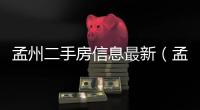 孟州二手房信息最新（孟州二手房信息）