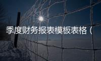 季度財務報表模板表格（季度財務報表模板）
