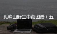 孤峰山野生中藥圖譜（五）