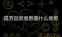 孤芳自賞意思是什么意思 孤芳自賞意思