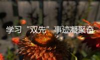 學習“雙先”事跡凝聚奮進力量