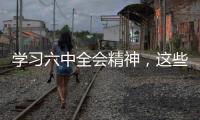 學習六中全會精神，這些表述要精讀