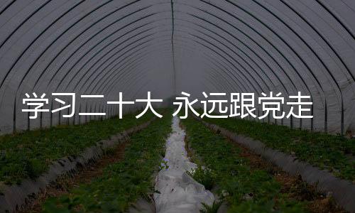 學習二十大 永遠跟黨走 奮進新征程