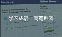 學習成語：離鸞別鳳