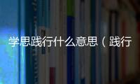 學(xué)思踐行什么意思（踐行什么意思）