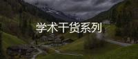 學術(shù)干貨系列
