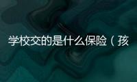 學(xué)校交的是什么保險（孩子的學(xué)平險要不要買）