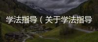 學(xué)法指導(dǎo)（關(guān)于學(xué)法指導(dǎo)的基本情況說明介紹）