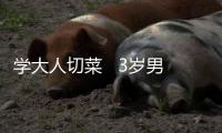 學大人切菜   3歲男童切著手指