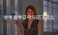 學考準考證號忘記了怎么查詢，學考準考證號忘了怎么在網上查詢