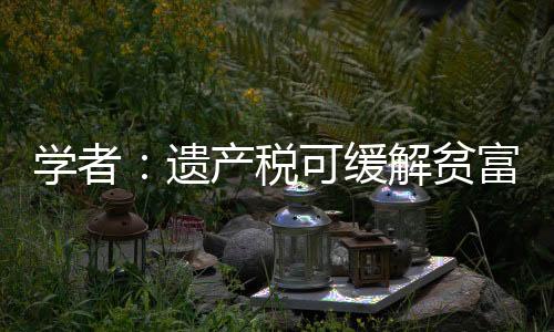 學者：遺產稅可緩解貧富差距 征收條件尚不具備