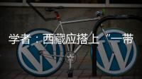 學者：西藏應搭上“一帶一路”列車 建設南亞開放大通道