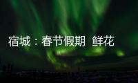 宿城：春節(jié)假期  鮮花俏銷