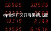 宿州經(jīng)開區(qū)開展暑期兒童關(guān)愛服務(wù)活動(dòng)