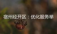 宿州經開區：優化服務舉措 助力企業“加速跑”