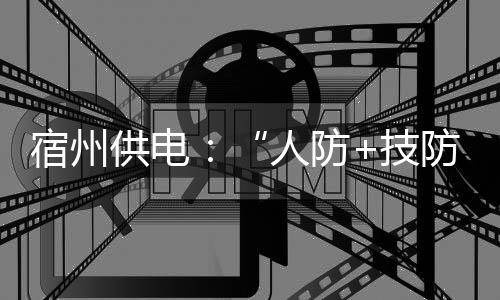 宿州供電：“人防+技防”雙管齊下 化解安全生產(chǎn)風(fēng)險