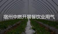 宿州中燃開展餐飲業用氣安全宣傳活動