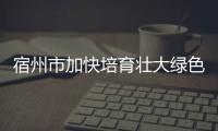 宿州市加快培育壯大綠色家居產業