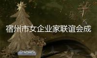 宿州市女企業家聯誼會成立
