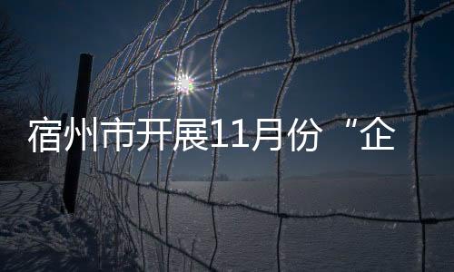 宿州市開展11月份“企業家接待日”活動