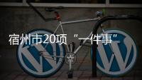 宿州市20項“一件事”上線運行“高效辦”