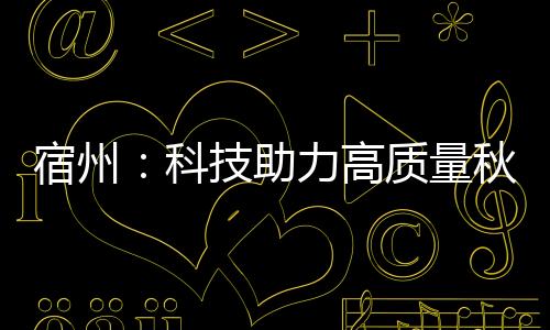 宿州：科技助力高質量秋種