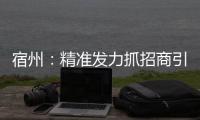 宿州：精準發力抓招商引資 強化服務促項目落地