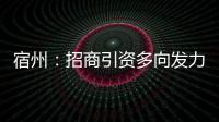 宿州：招商引資多向發力成效明顯