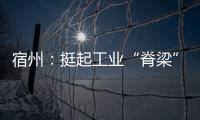 宿州：挺起工業“脊梁” 跑出高質量發展“加速度”