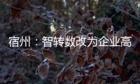 宿州：智轉數改為企業高質量發展賦能