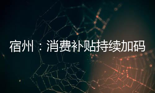 宿州：消費補貼持續(xù)加碼 “電自”換新“立購立減”