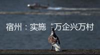 宿州：實施“萬企興萬村”行動 拓寬鄉(xiāng)村振興路
