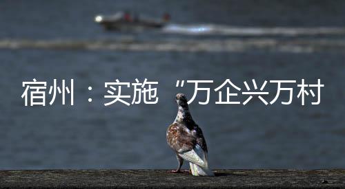 宿州：實施“萬企興萬村”行動 拓寬鄉村振興路