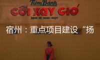 宿州：重點項目建設“揚鞭加力”  高質量發(fā)展“蹄疾步穩(wěn)”