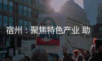 宿州：聚焦特色產業 助力鄉村振興