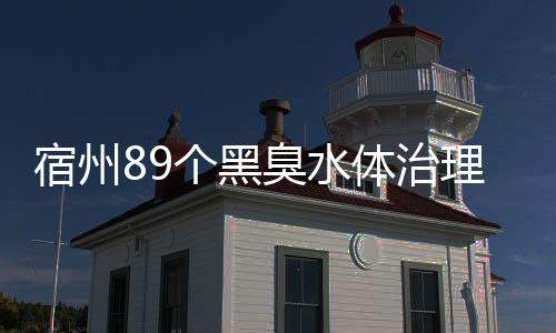 宿州89個黑臭水體治理試點工程完工