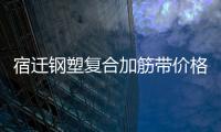 宿遷鋼塑復(fù)合加筋帶價(jià)格優(yōu)惠