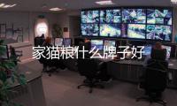 家貓糧什么牌子好