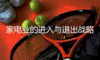 家電業的進入與退出戰略