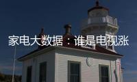 家電大數據：誰是電視漲價的幕后真兇?