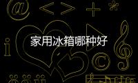 家用冰箱哪種好