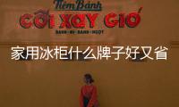家用冰柜什么牌子好又省電質量又好（家用冰柜）