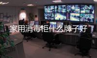 家用消毒柜什么牌子好