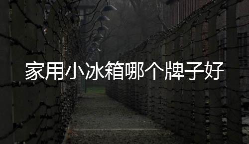 家用小冰箱哪個牌子好
