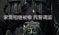 家禽相繼被偷 民警調(diào)監(jiān)控抓獲偷雞賊