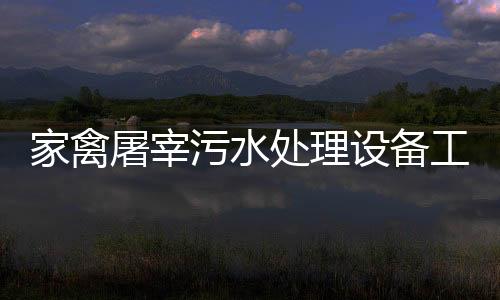 家禽屠宰污水處理設備工藝