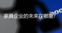 家具企業(yè)的未來(lái)在哪里?